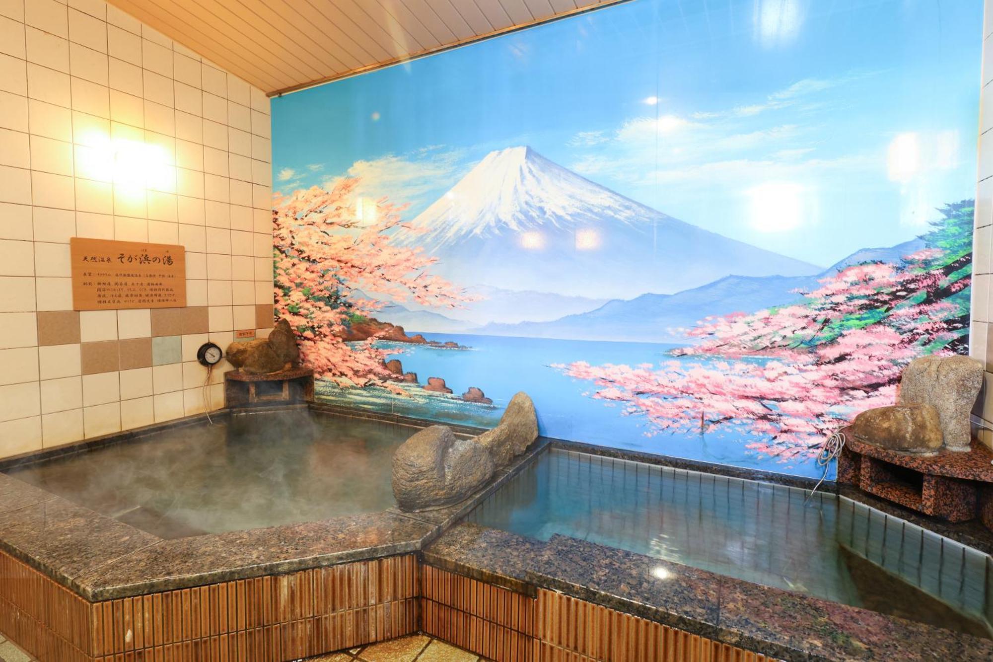 Hotel Dormy Soga Chiba